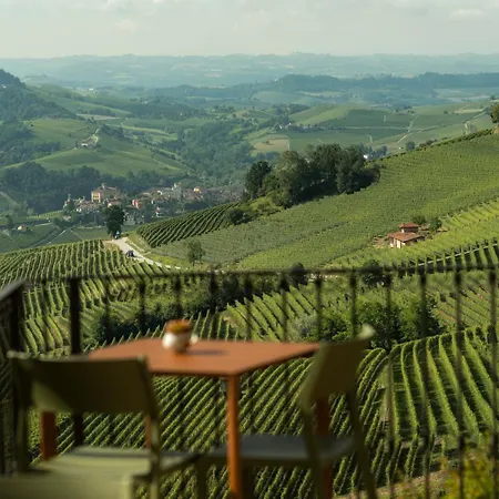 Sky&vineyards - Olivo -