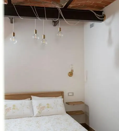 Sky And Vineyards - Olivo - 公寓